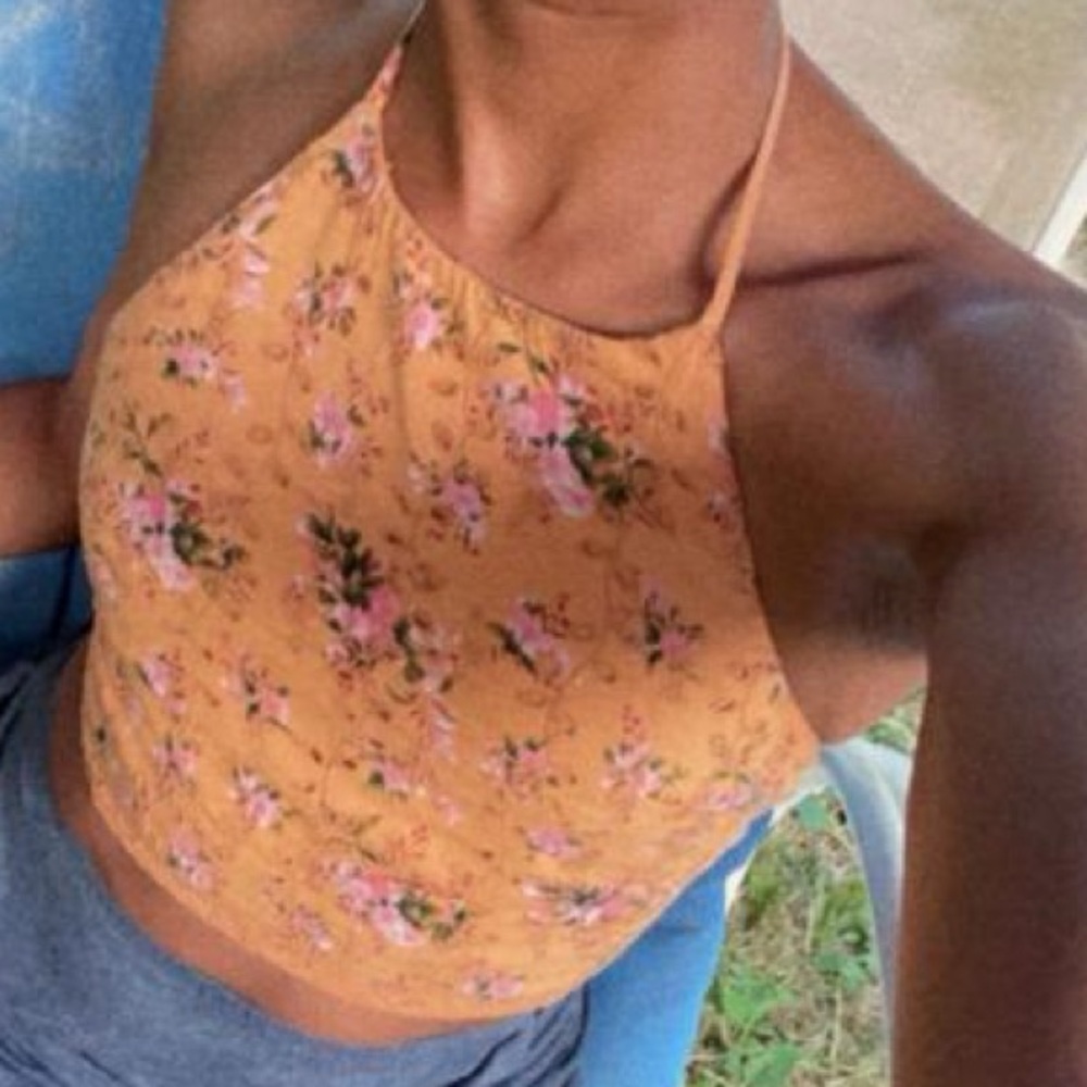 American Eagle Outfitters Floral Crop Top - Tan and Pink